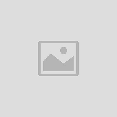 Kale Mandallı Seri Kartlı Kilit KD040/90-704